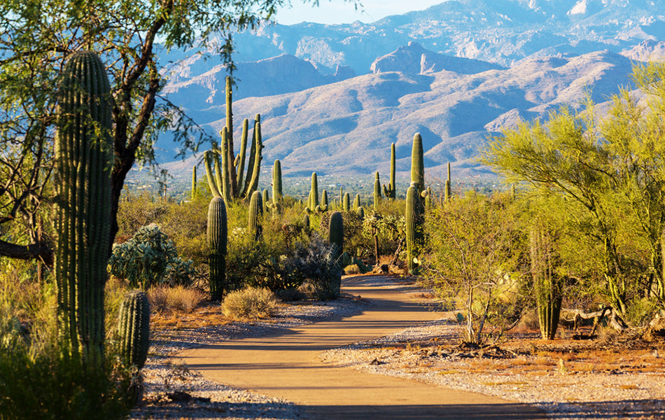 What Has Meaning For You?