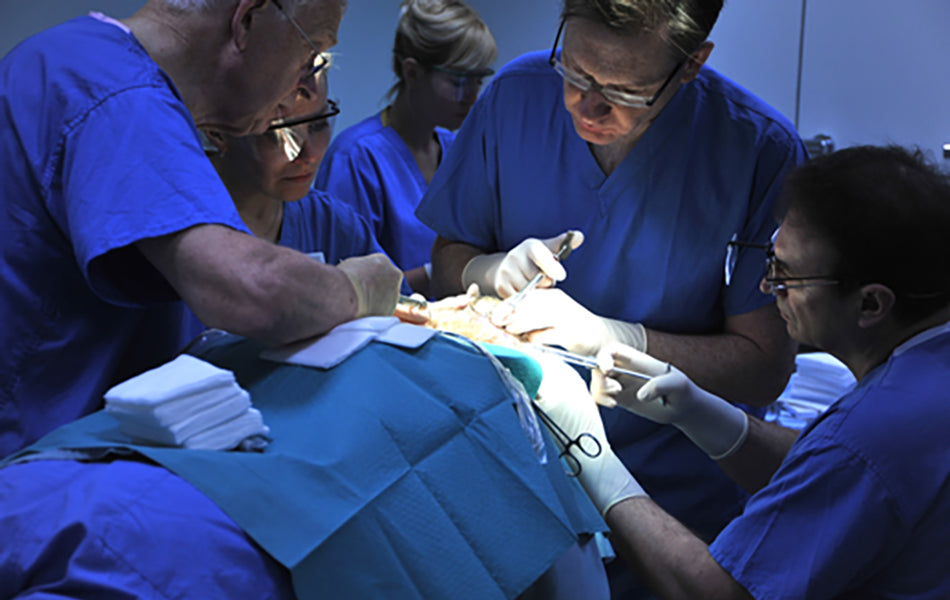 Hair Transplants Explained