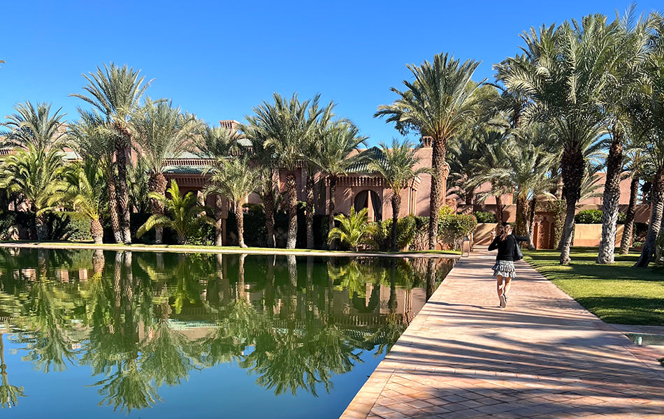 Winter Sun - Marrakech