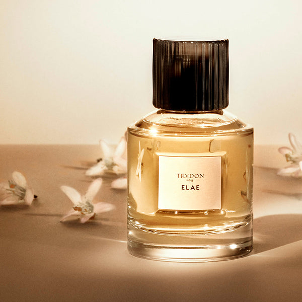 Elae-Perfume-Lifestyle_600x.