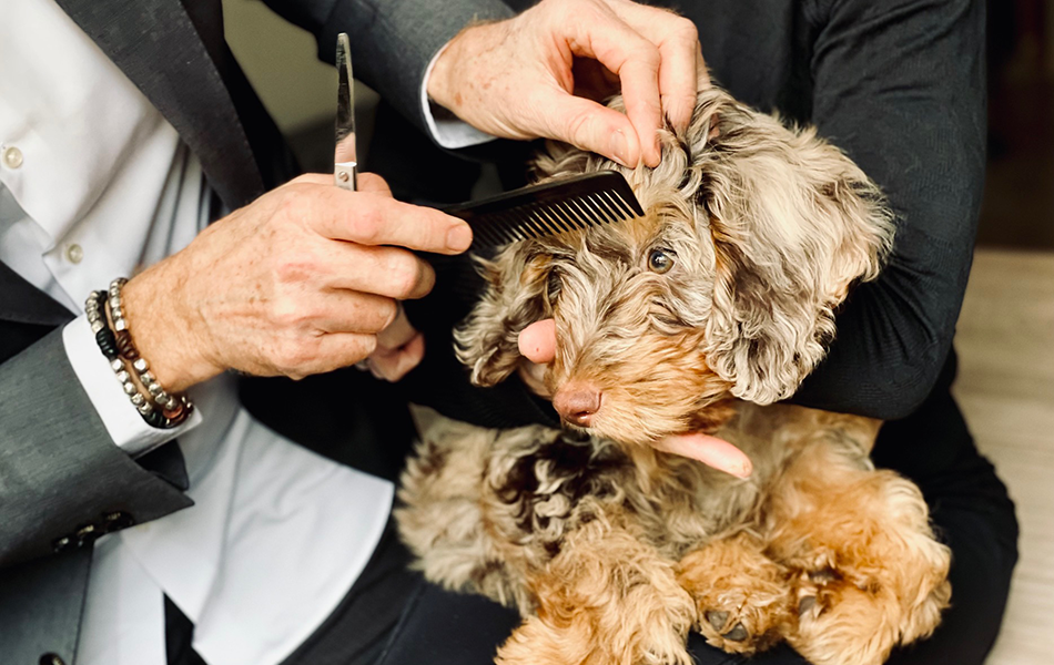 Do You Know Who I Am?