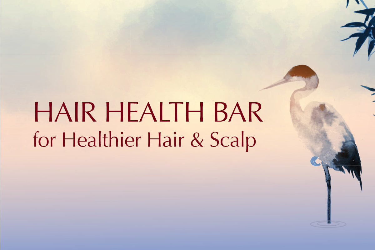 Healthier Hair & Scalp
