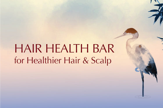 Healthier Hair & Scalp