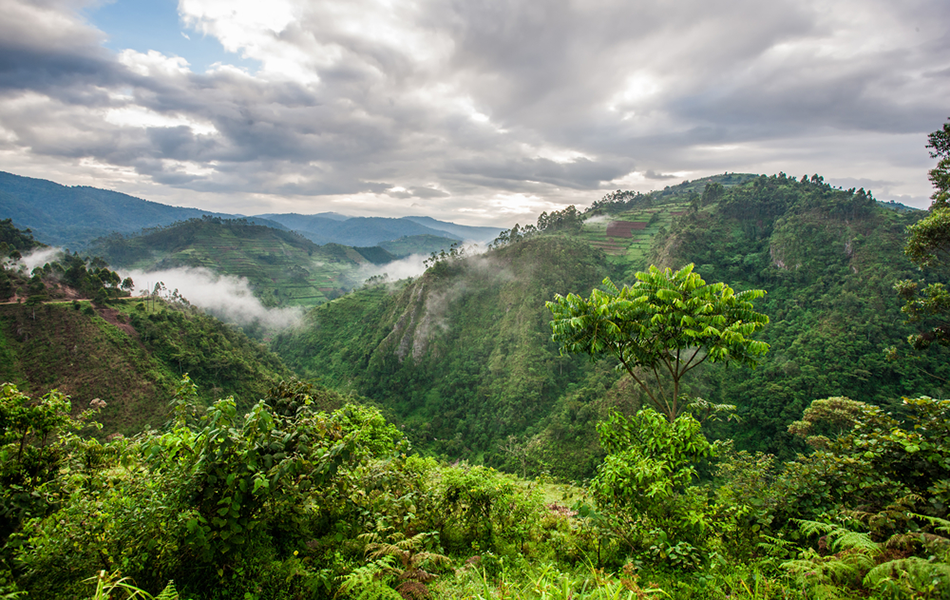 Been Anywhere Nice on Holiday?